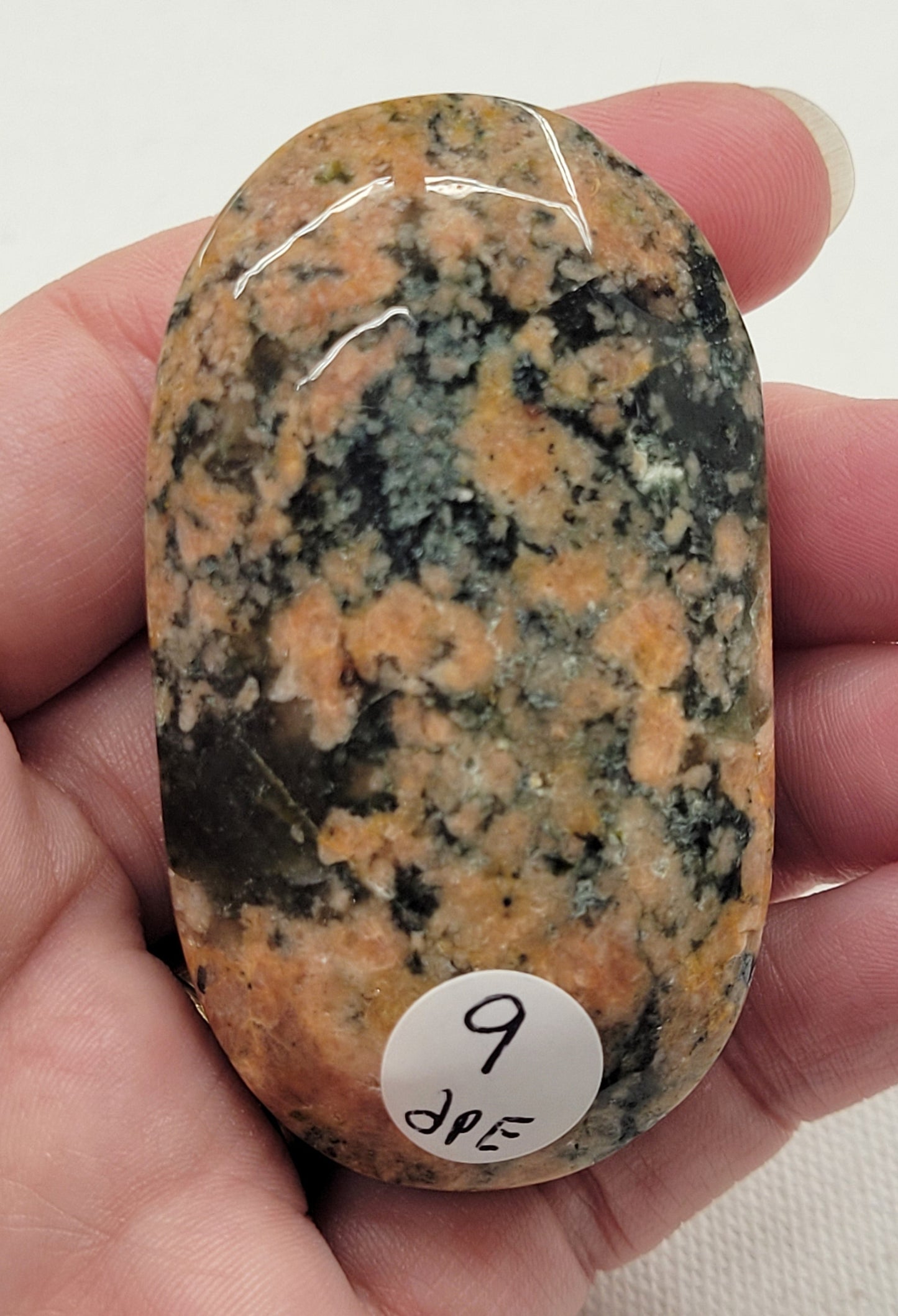 Palm - Cherry Blossom Lodilite