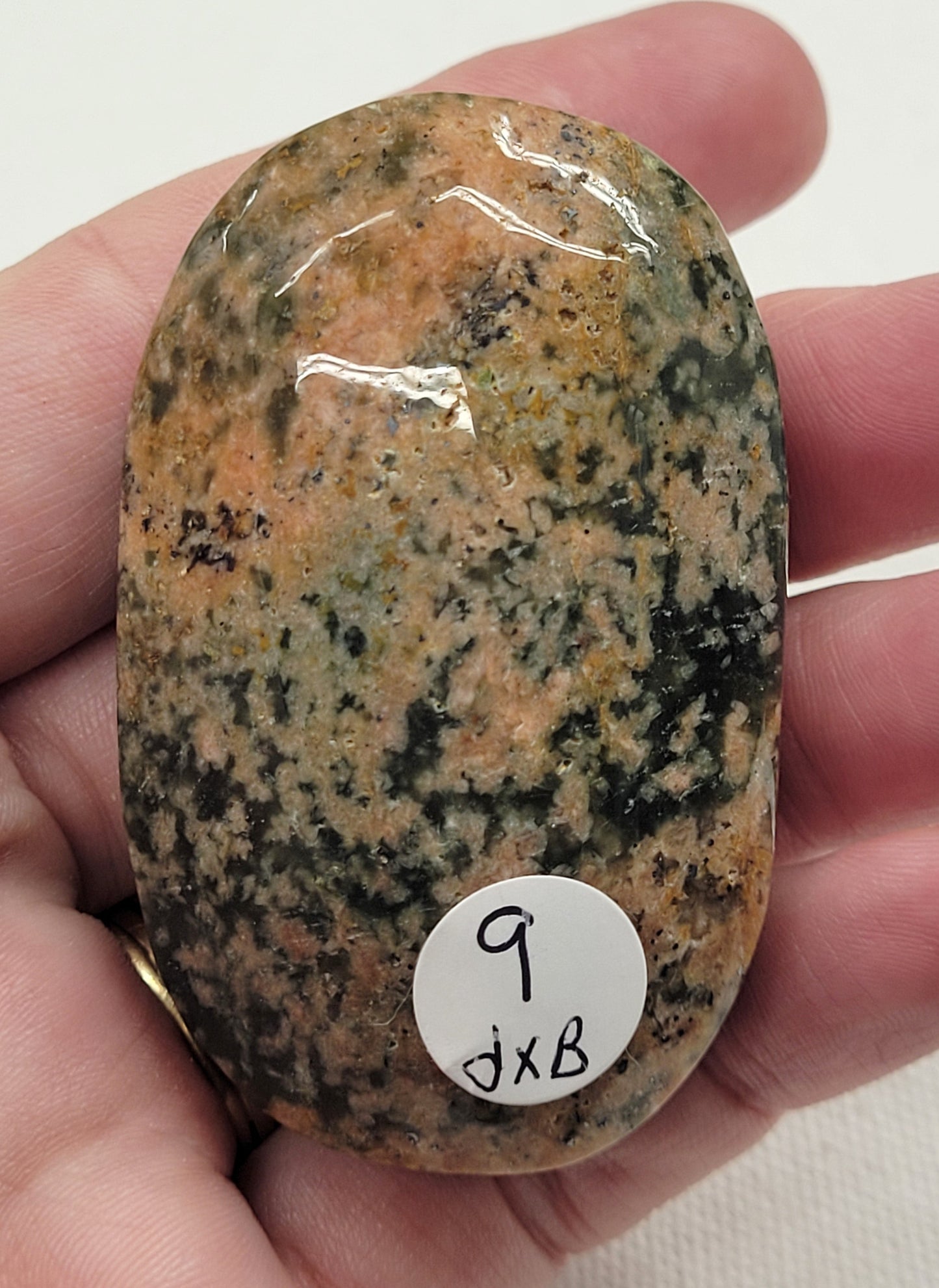 Palm - Cherry Blossom Lodilite