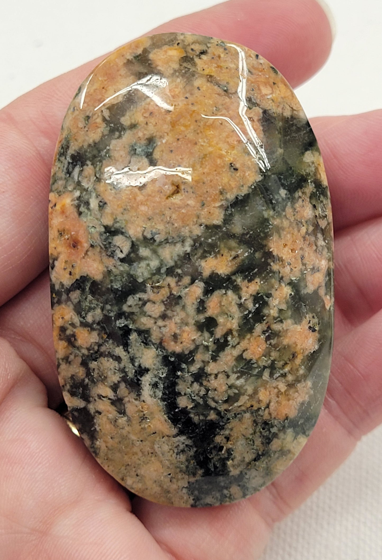 Palm - Cherry Blossom Lodilite