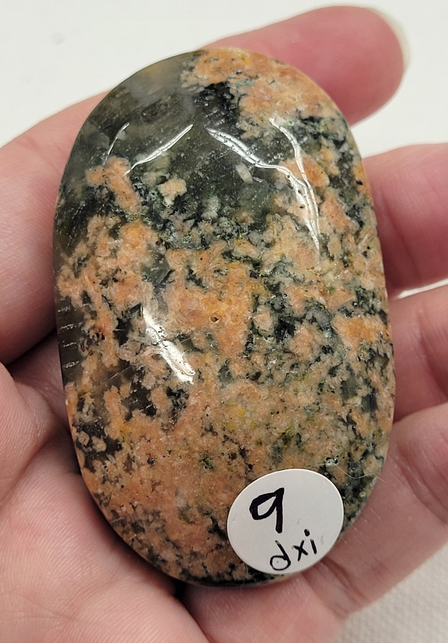 Palm - Cherry Blossom Lodilite