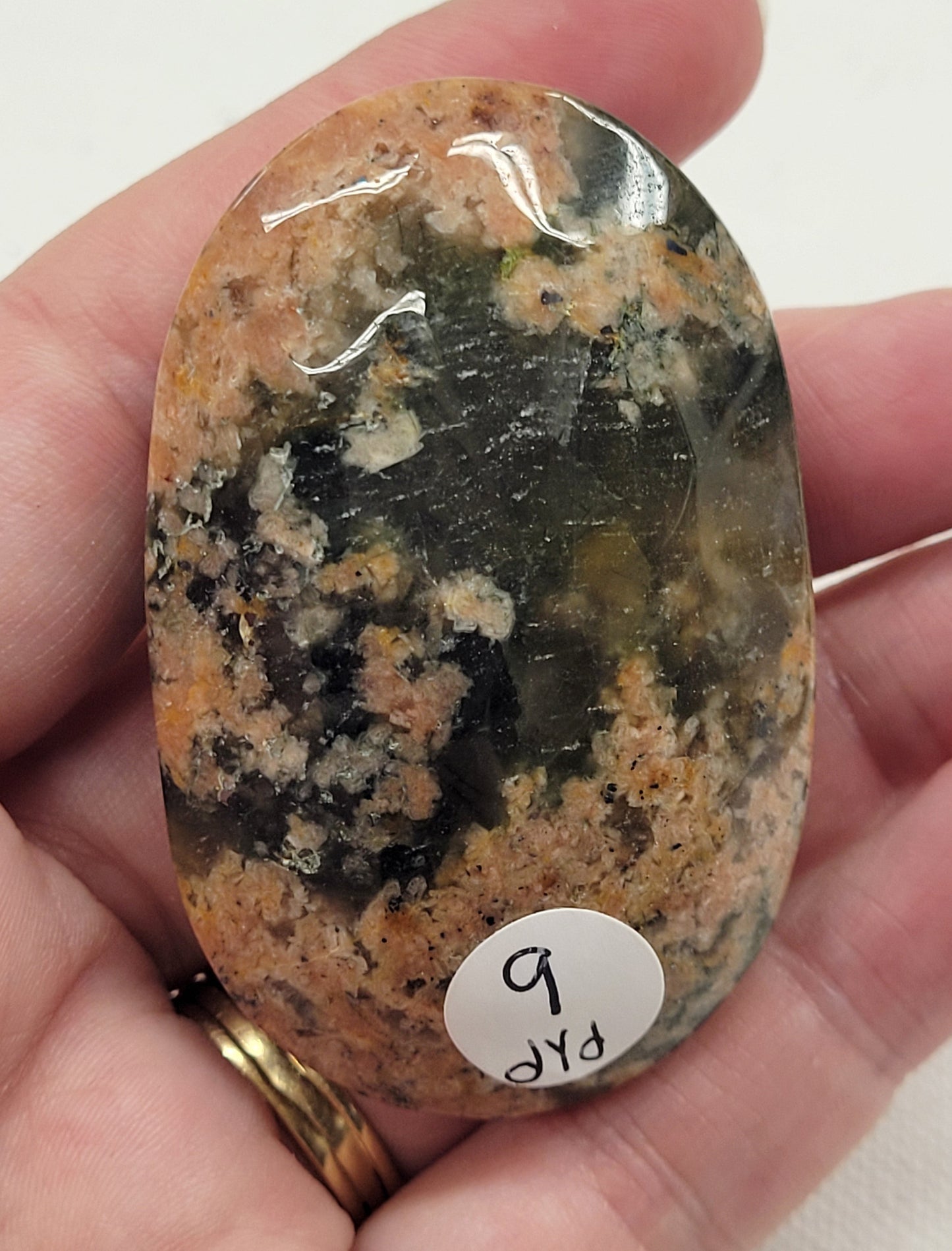 Palm - Cherry Blossom Lodilite