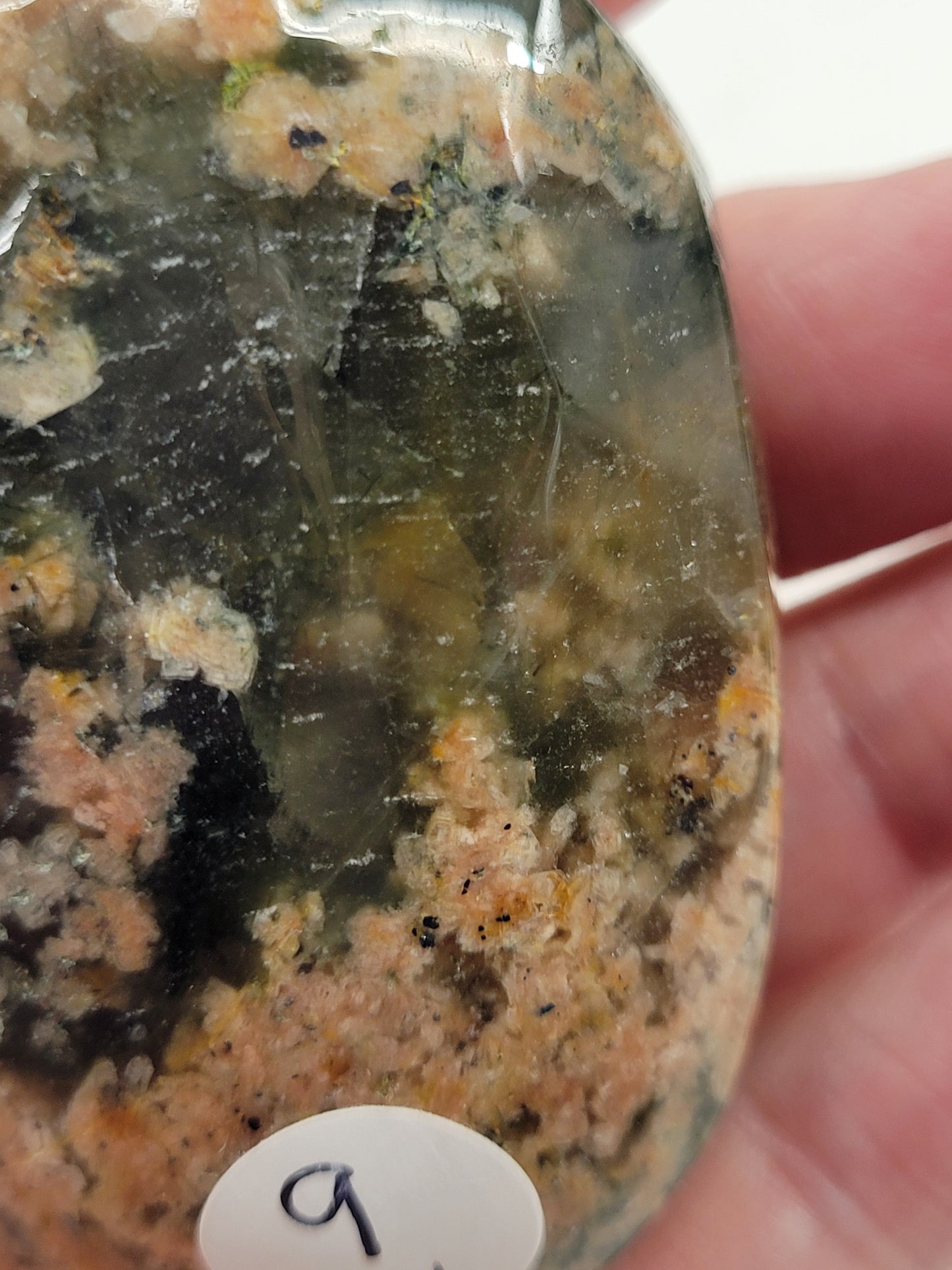 Palm - Cherry Blossom Lodilite