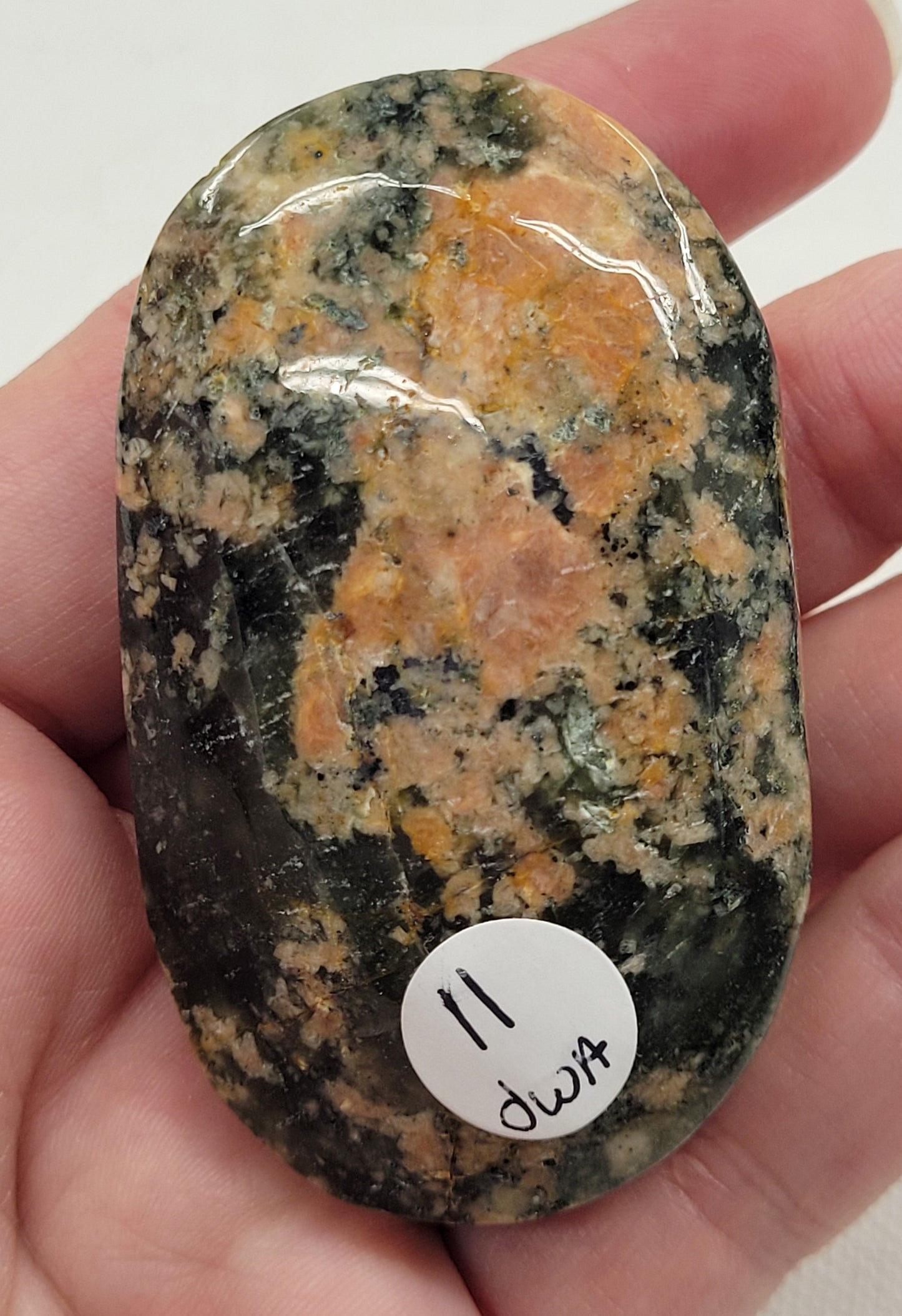 Palm - Cherry Blossom Lodilite