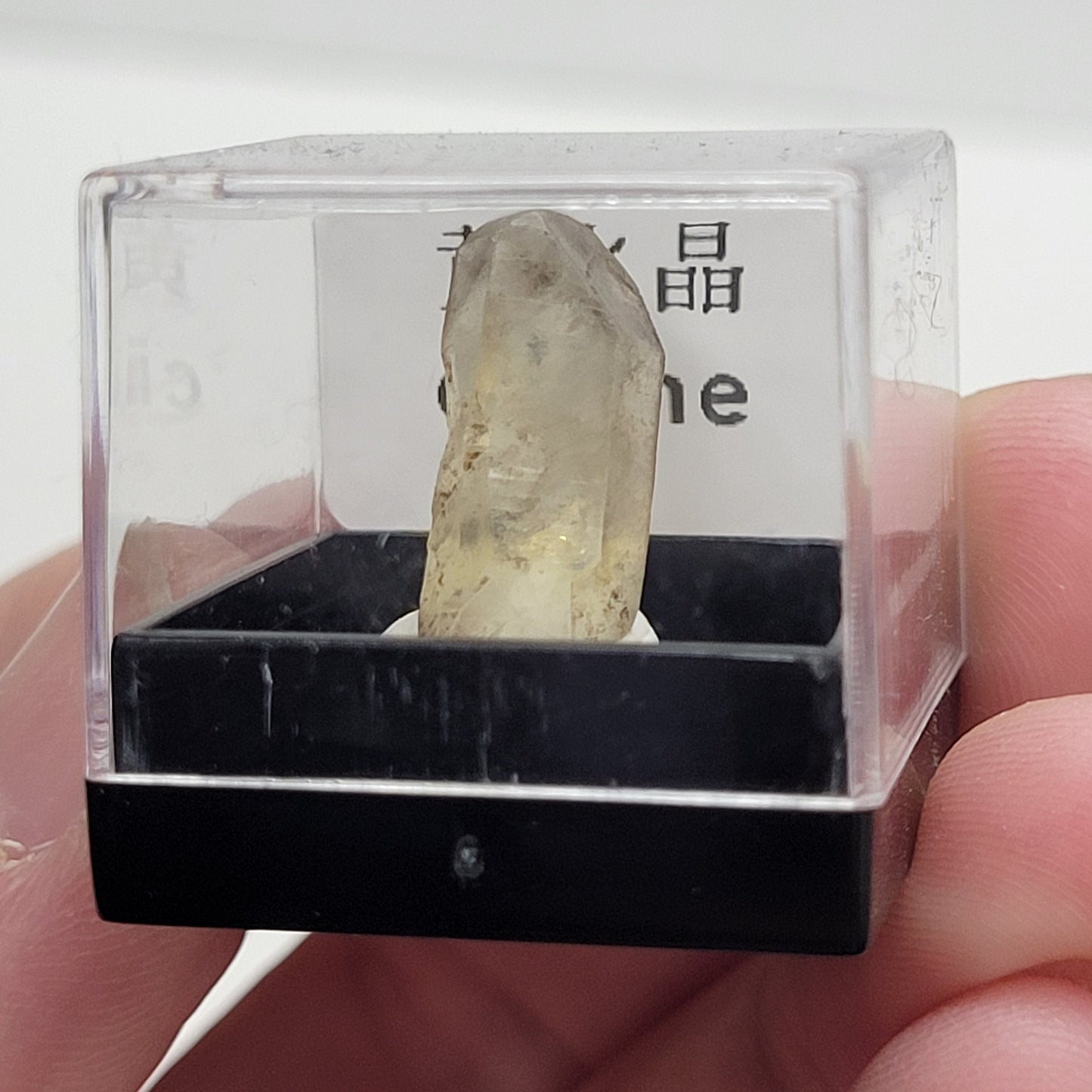 citrine crystal specimen in small clear box with a label.