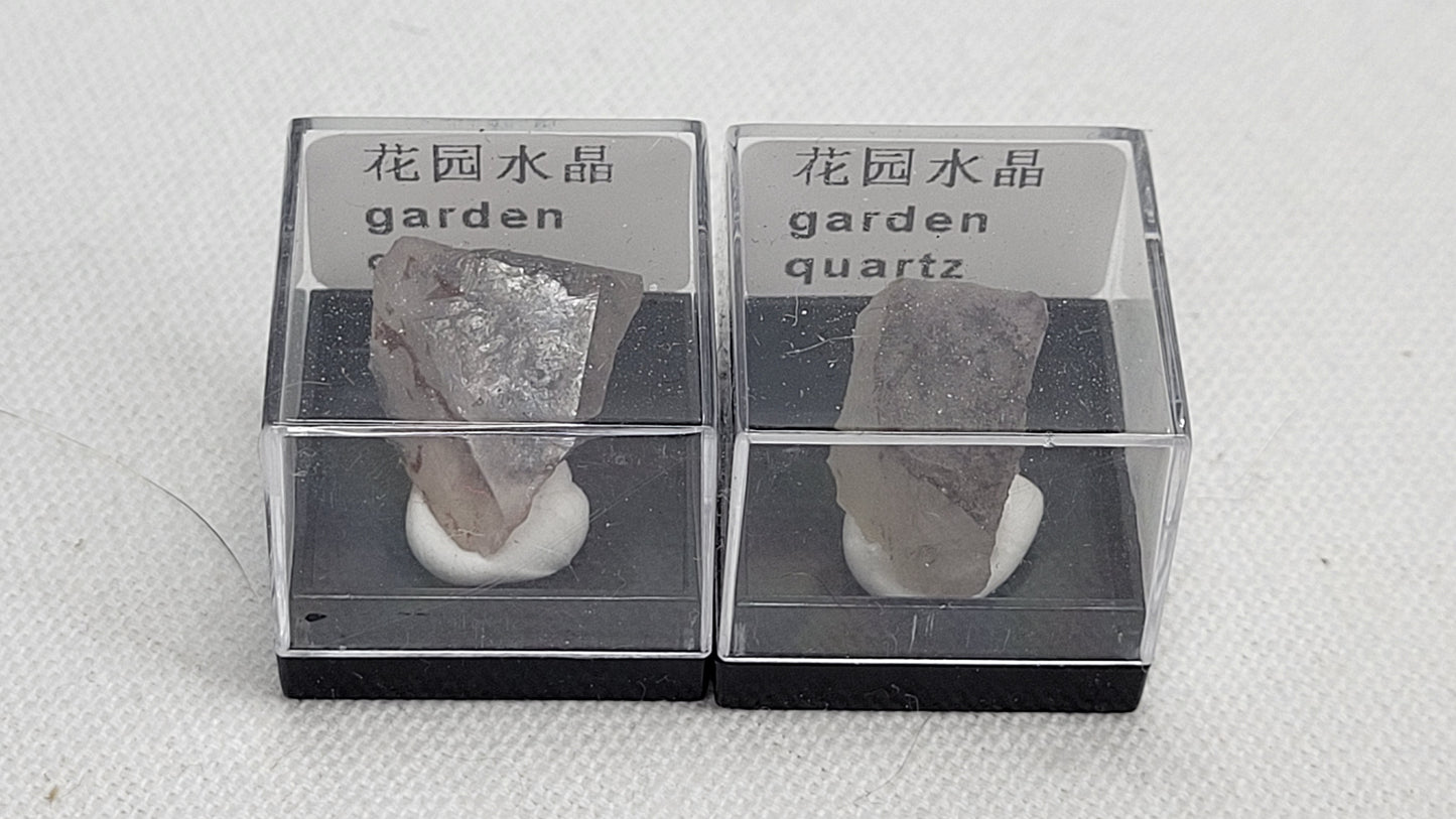 Specimen thumbnail G-M