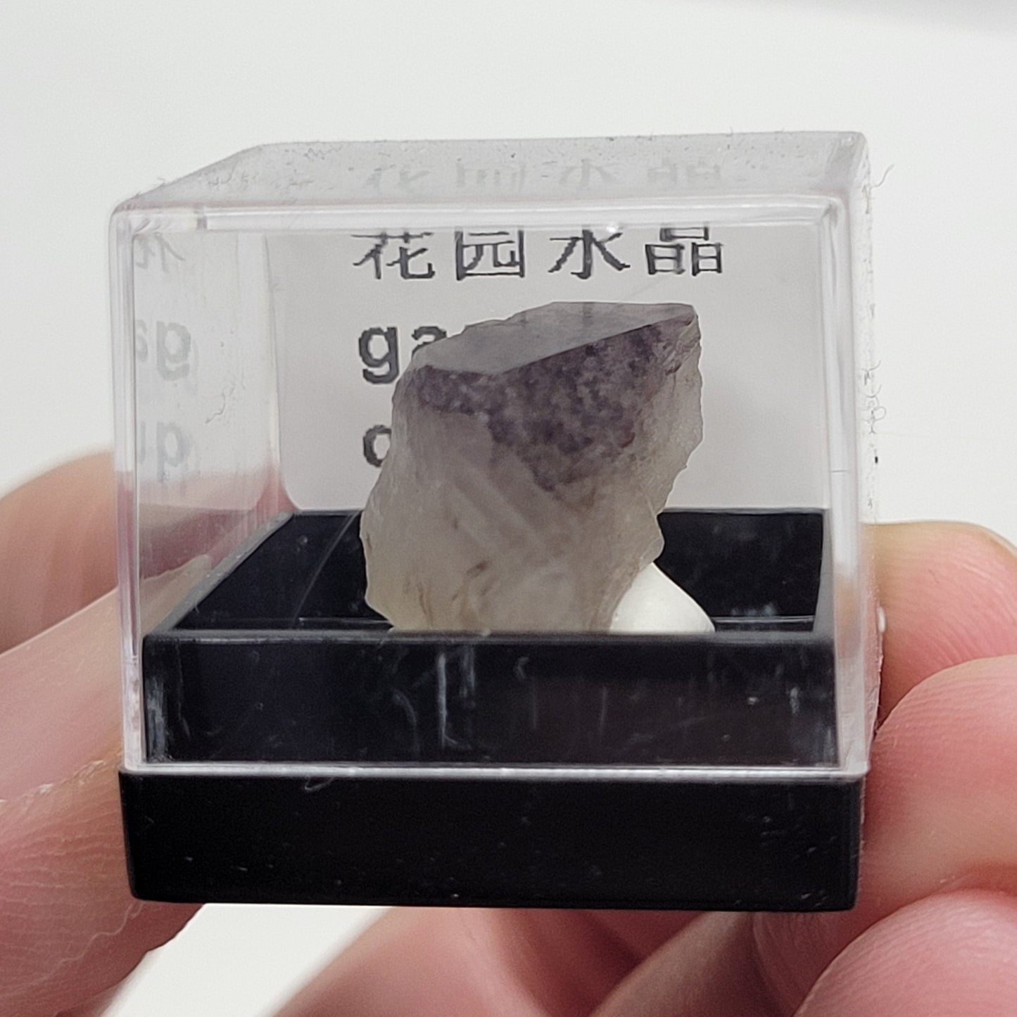 Specimen thumbnail G-M