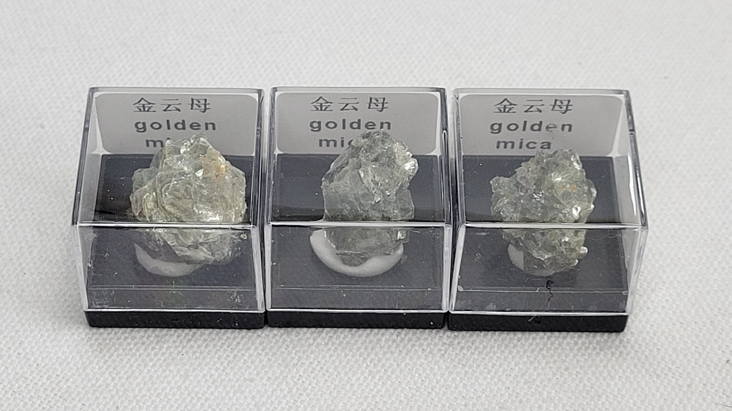 Specimen thumbnail G-M