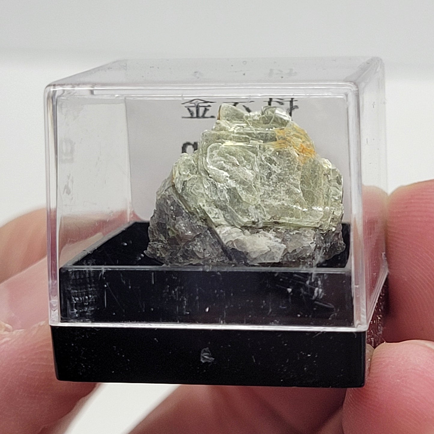 Specimen thumbnail G-M