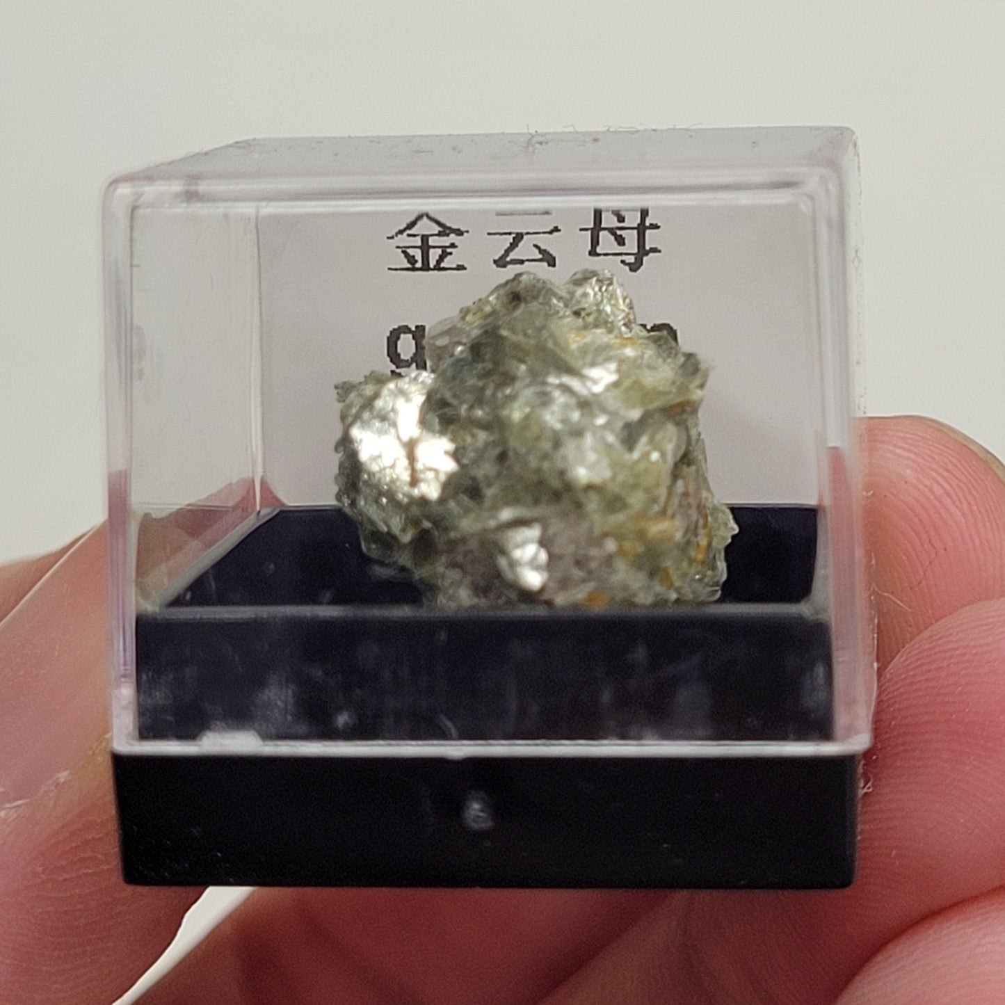 Specimen thumbnail G-M