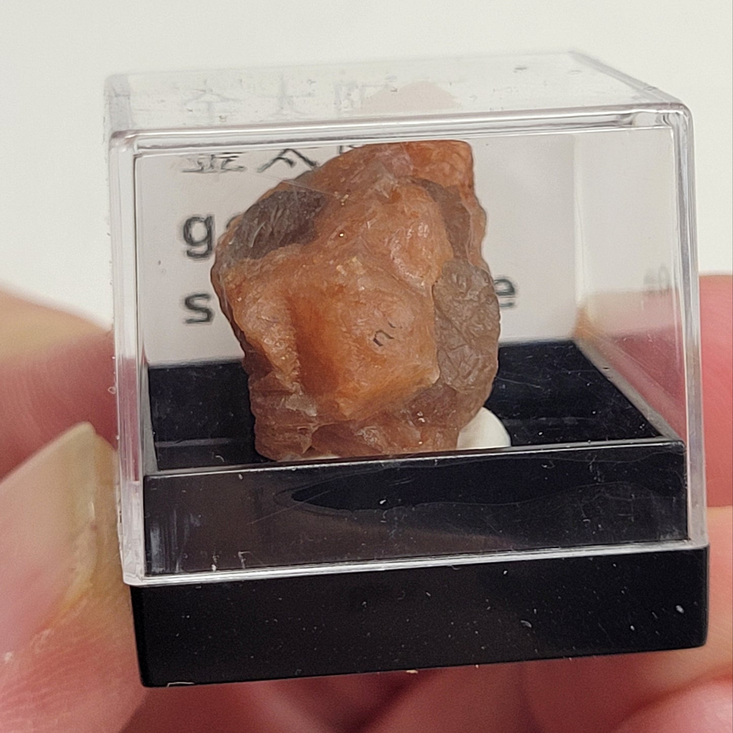 Specimen thumbnail G-M