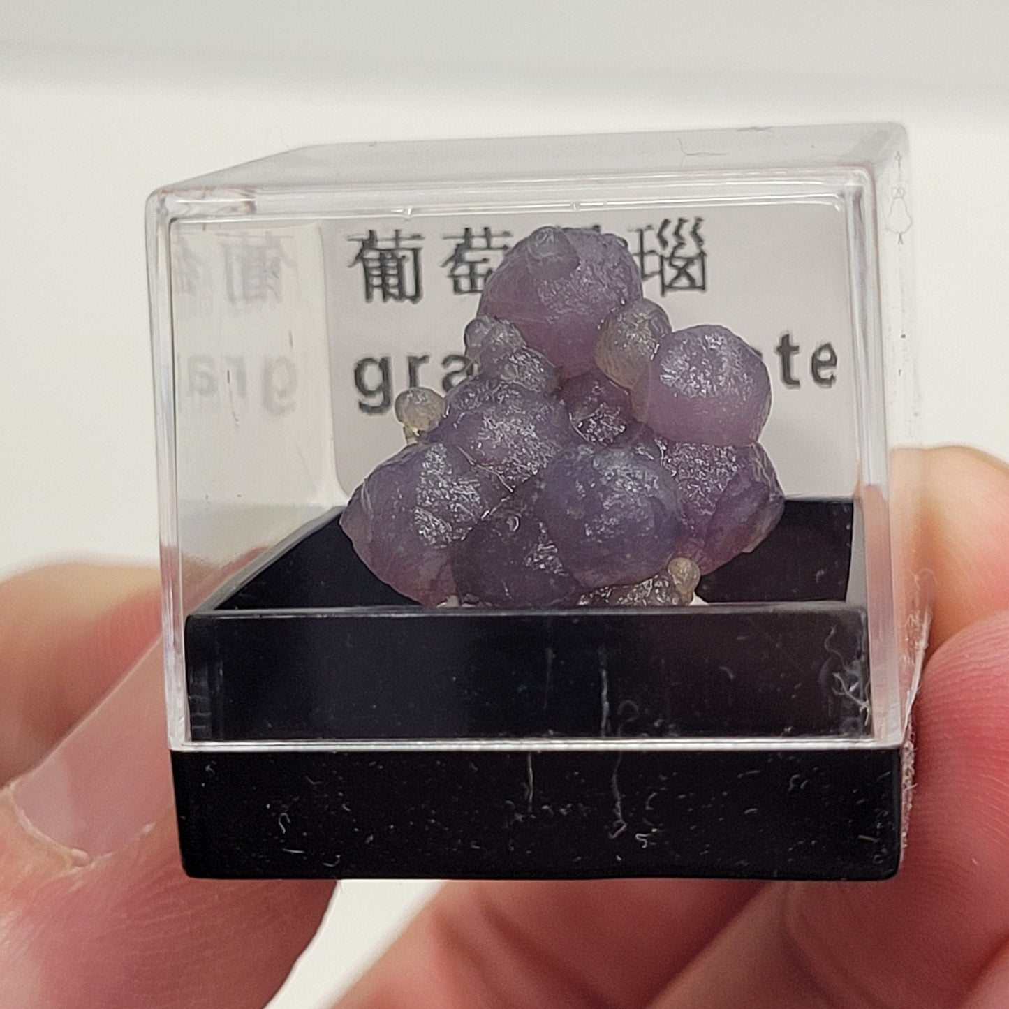 Specimen thumbnail G-M