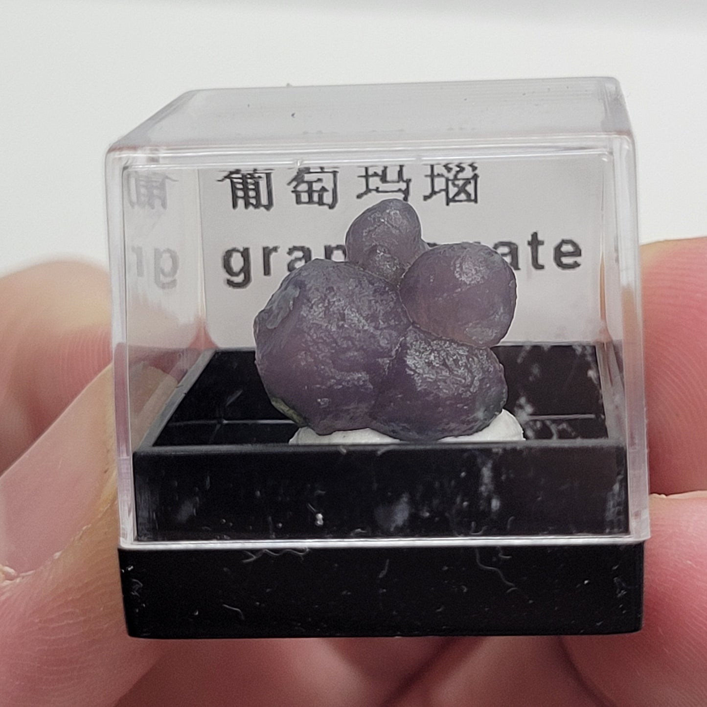 Specimen thumbnail G-M