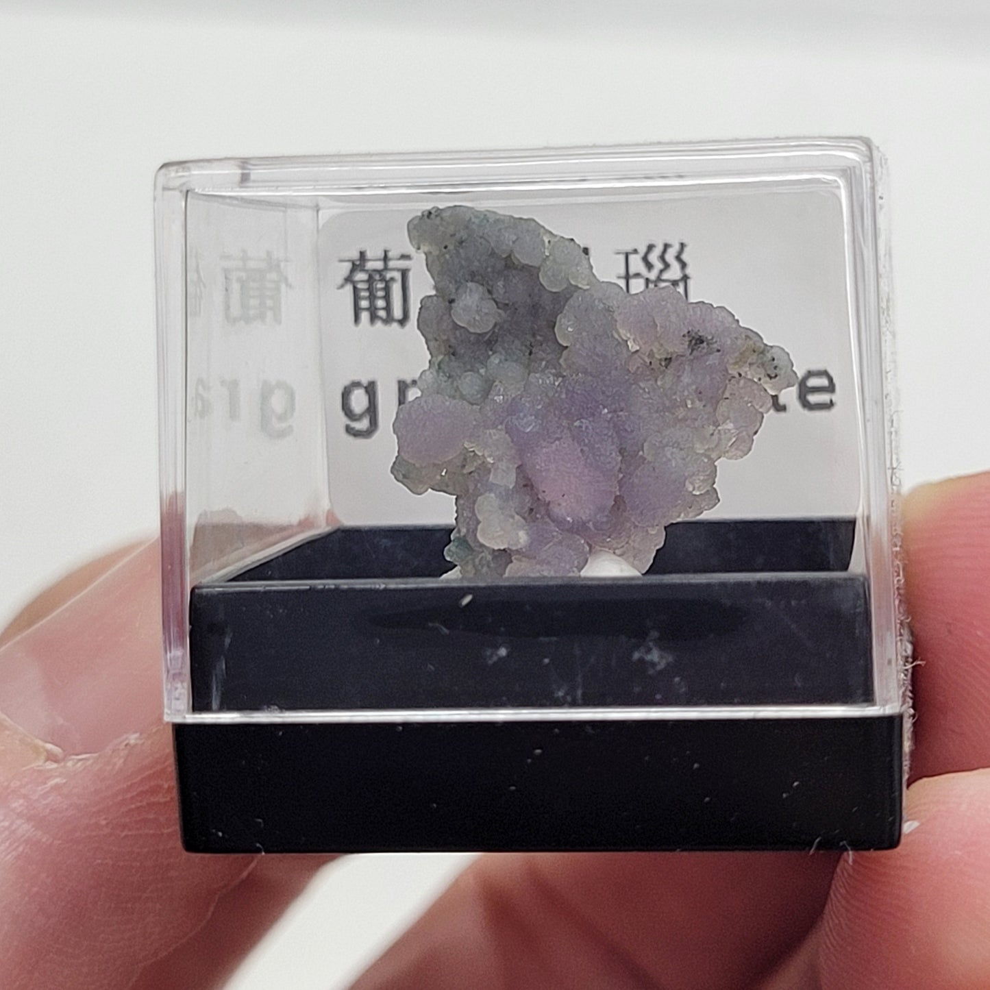 Specimen thumbnail G-M