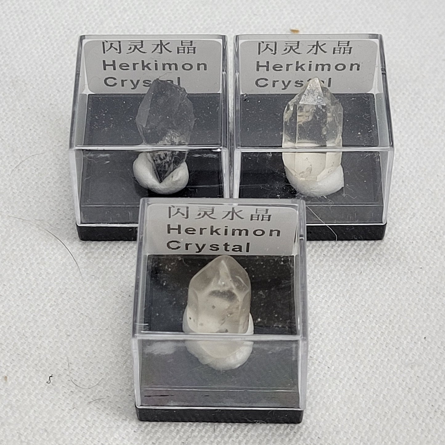 Specimen thumbnail G-M