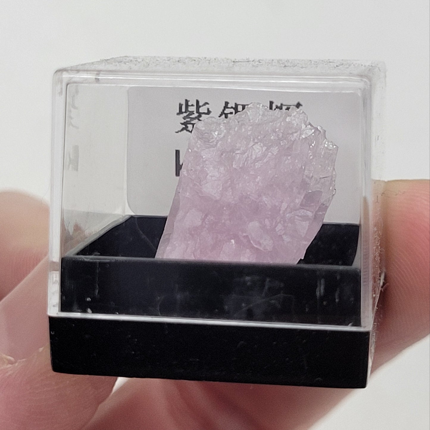 Specimen thumbnail G-M