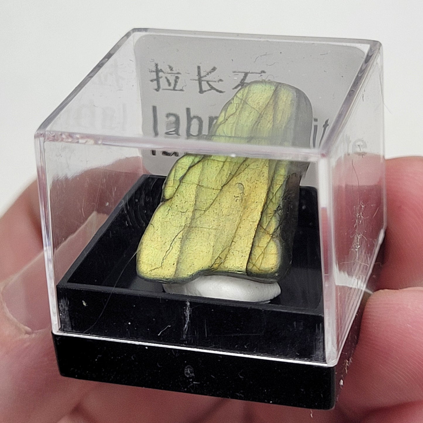 Specimen thumbnail G-M