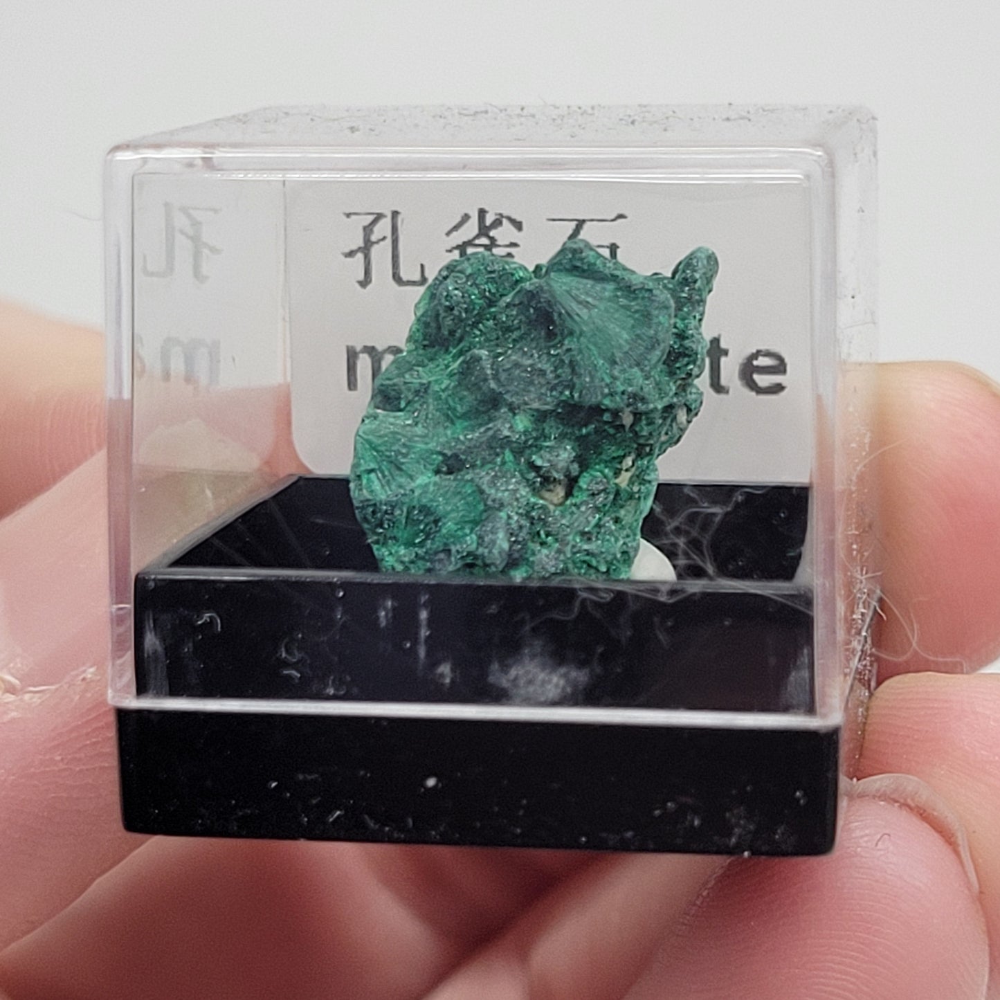 Specimen thumbnail G-M