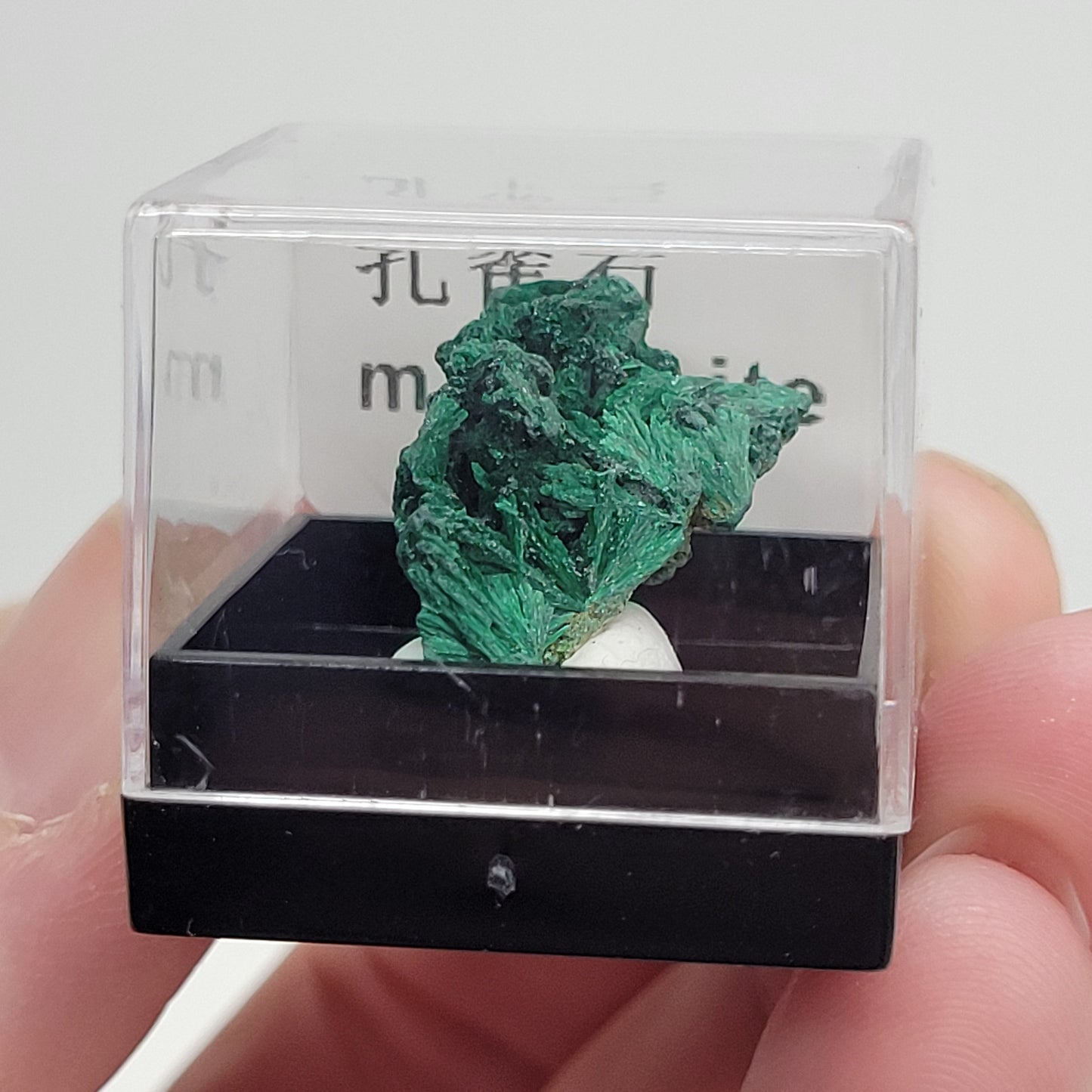 Specimen thumbnail G-M