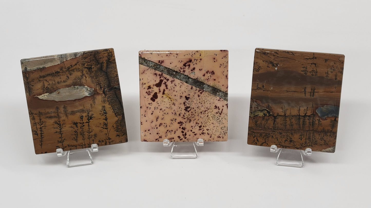 Picture Jasper square coaster