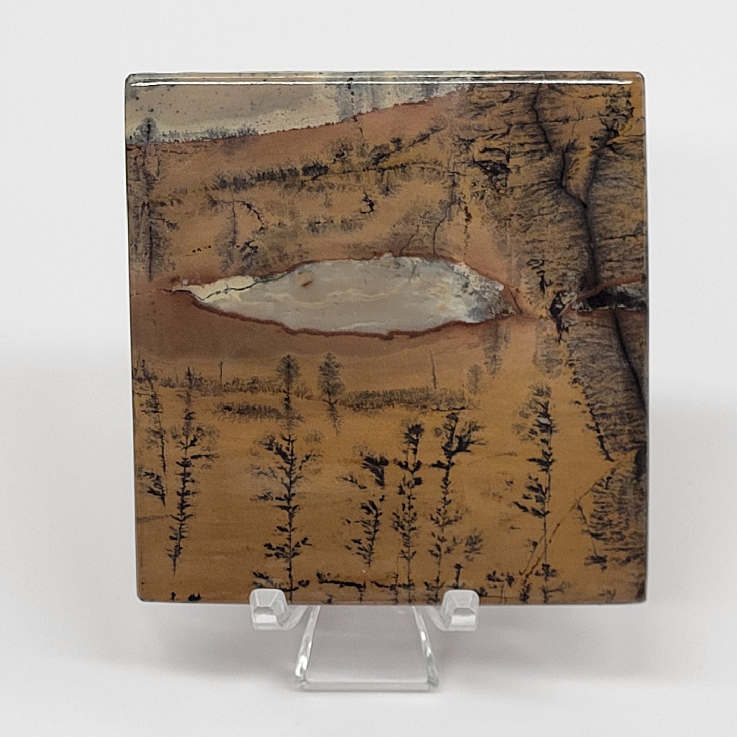 Picture Jasper square coaster