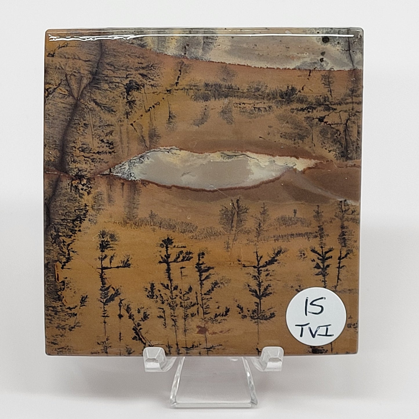 Picture Jasper square coaster