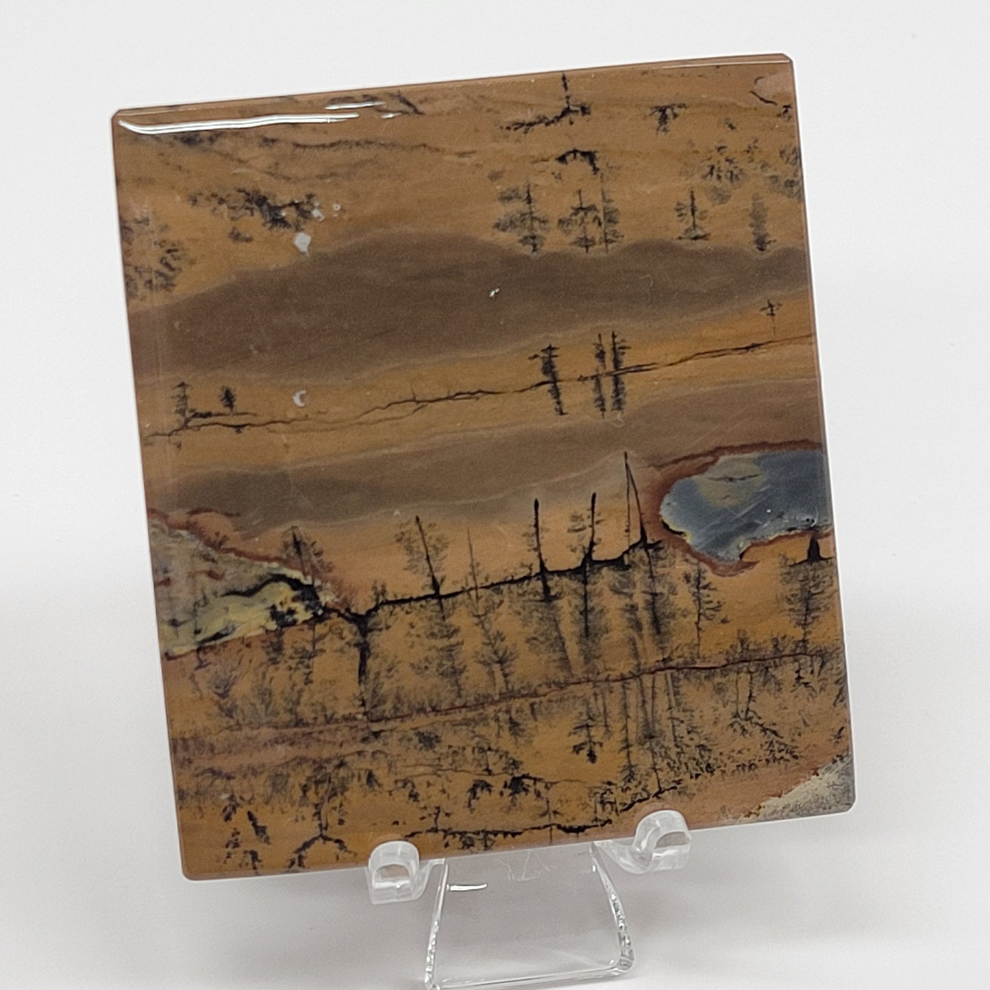 Picture Jasper square coaster
