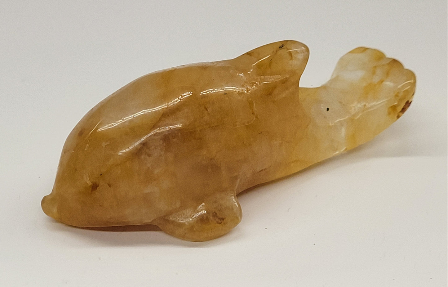 Dolphin - Golden Healer (medium)