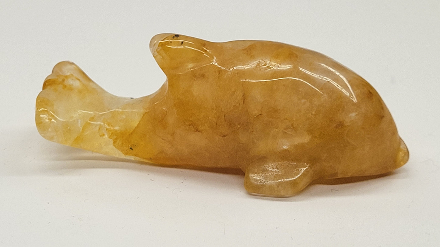 Dolphin - Golden Healer (medium)