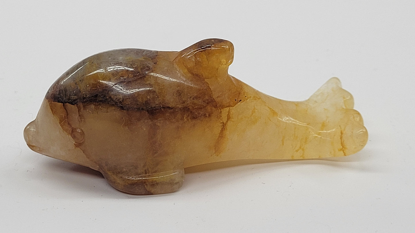Dolphin - Golden Healer (medium)