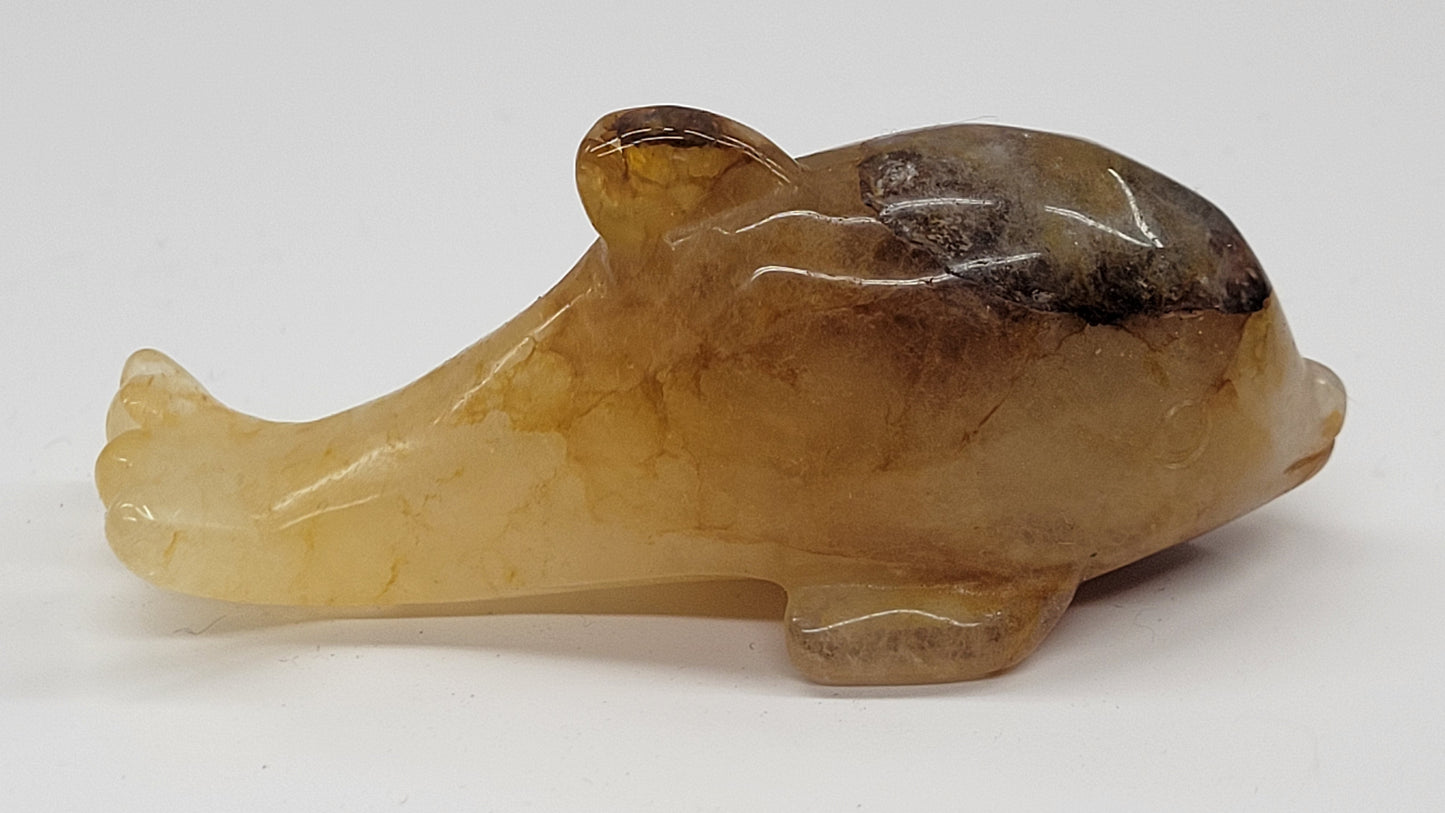 Dolphin - Golden Healer (medium)