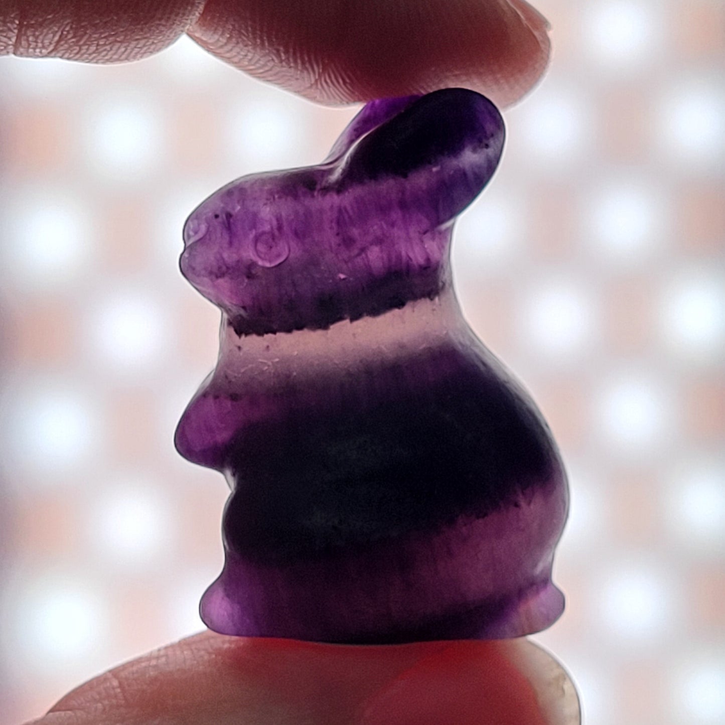 Rabbit/bunny carvings