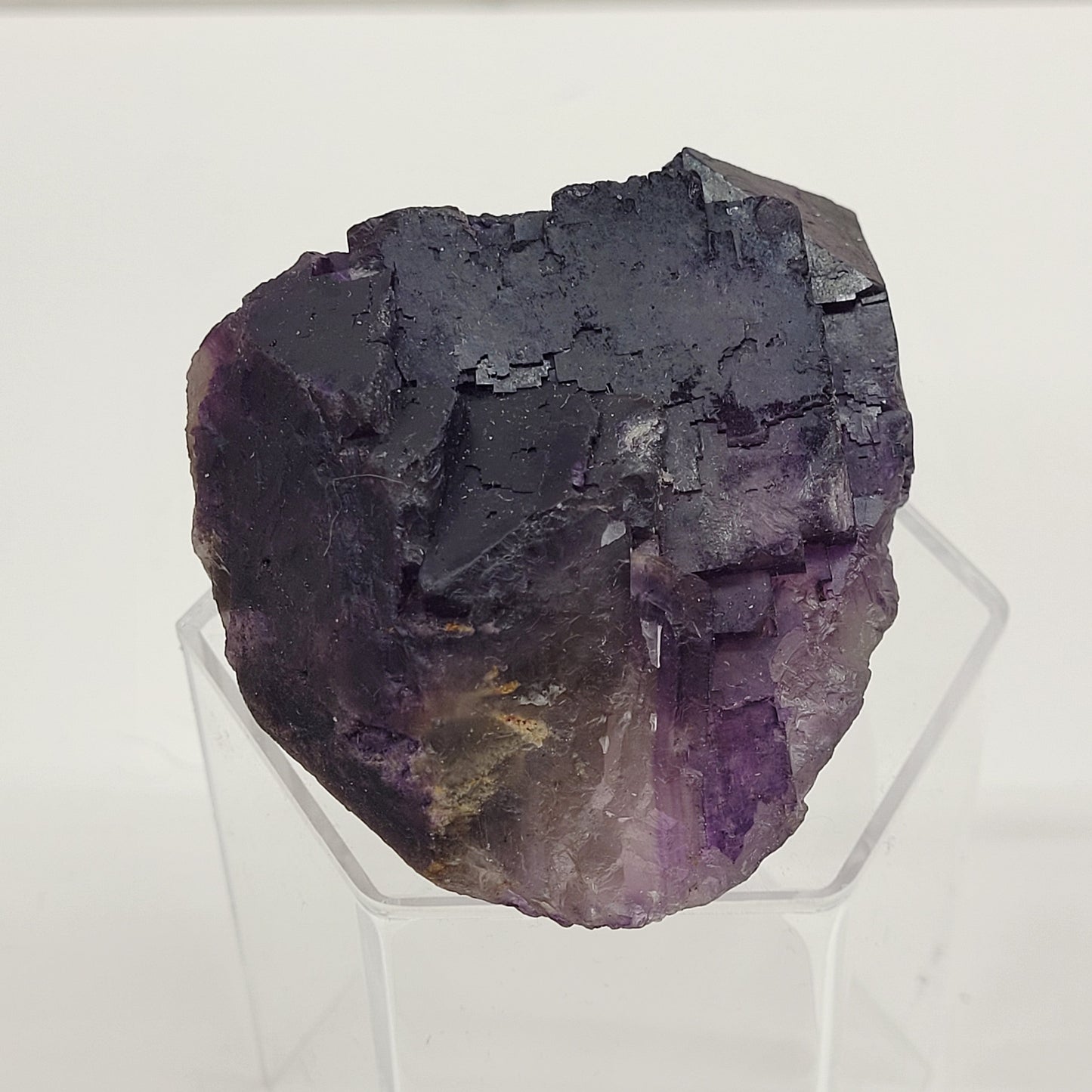 Muzquiz Fluorite