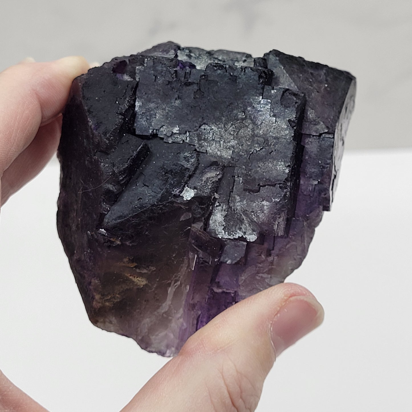 Muzquiz Fluorite