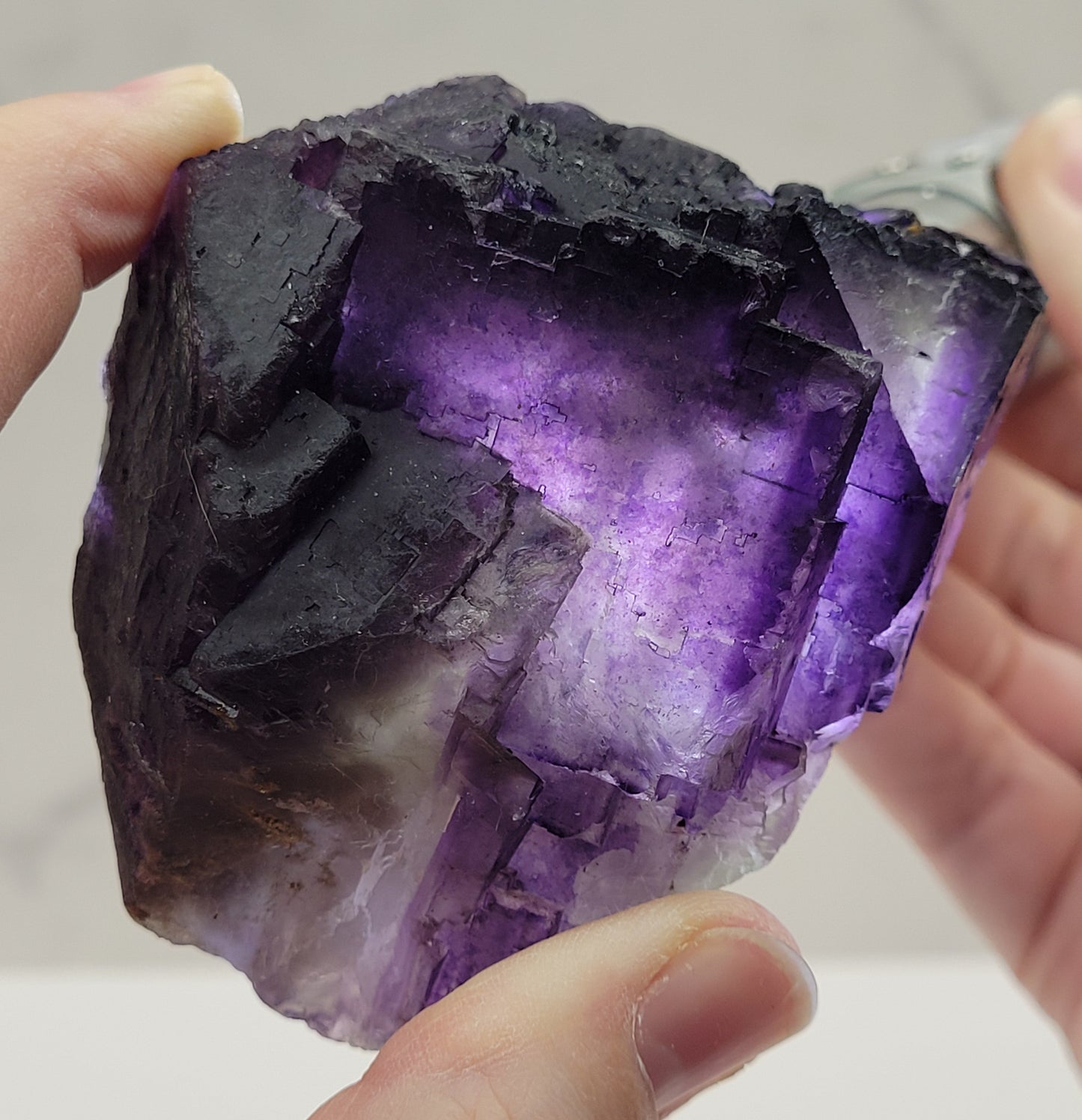 Muzquiz Fluorite