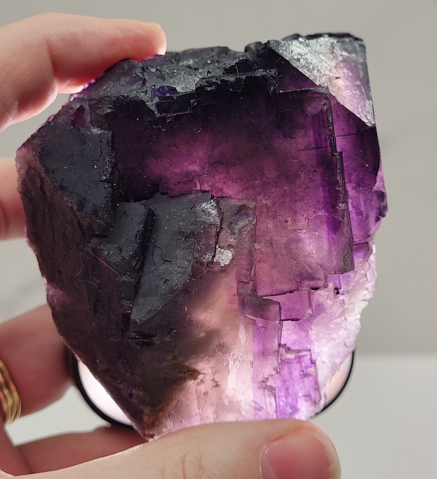 Muzquiz Fluorite