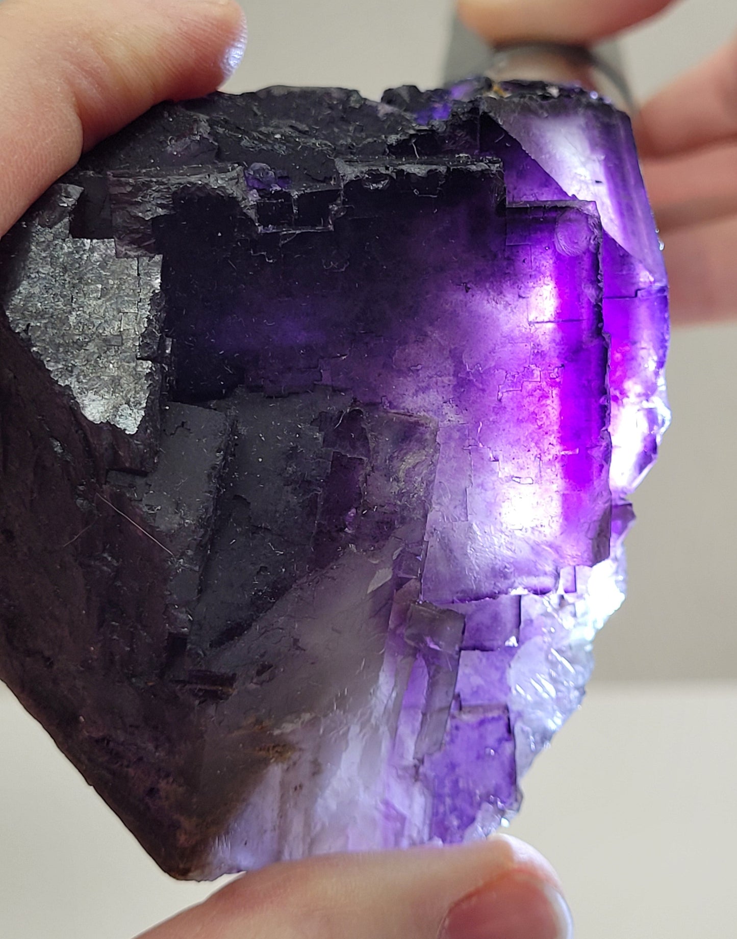 Muzquiz Fluorite