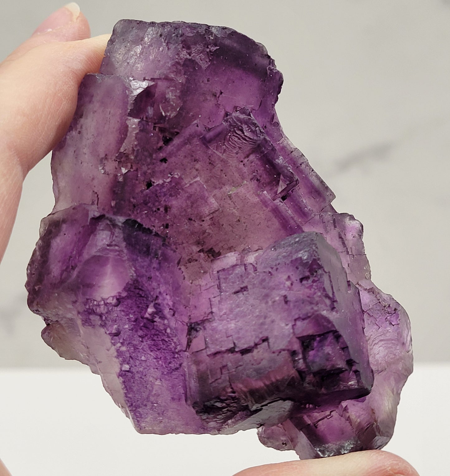 Muzquiz Fluorite