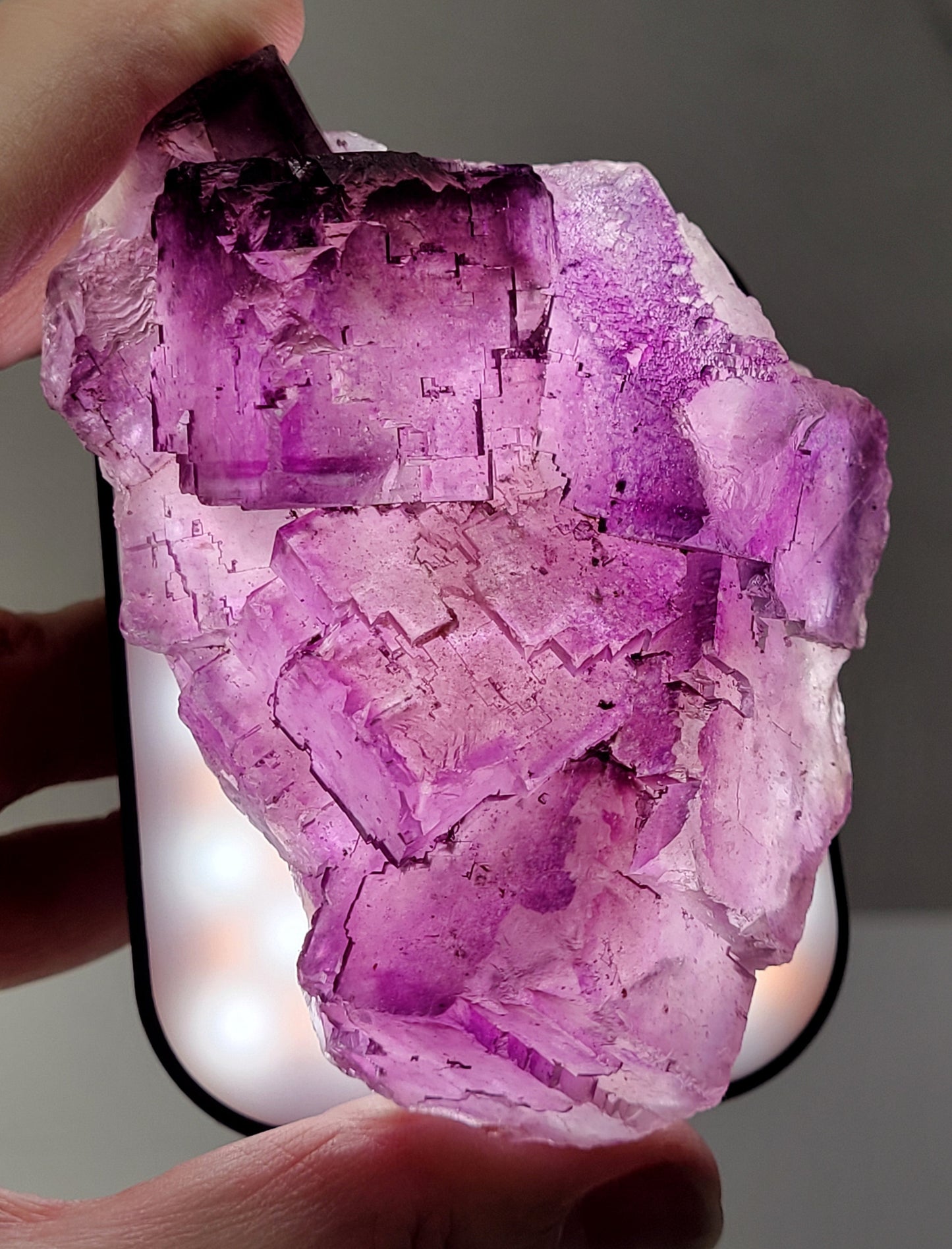 Muzquiz Fluorite