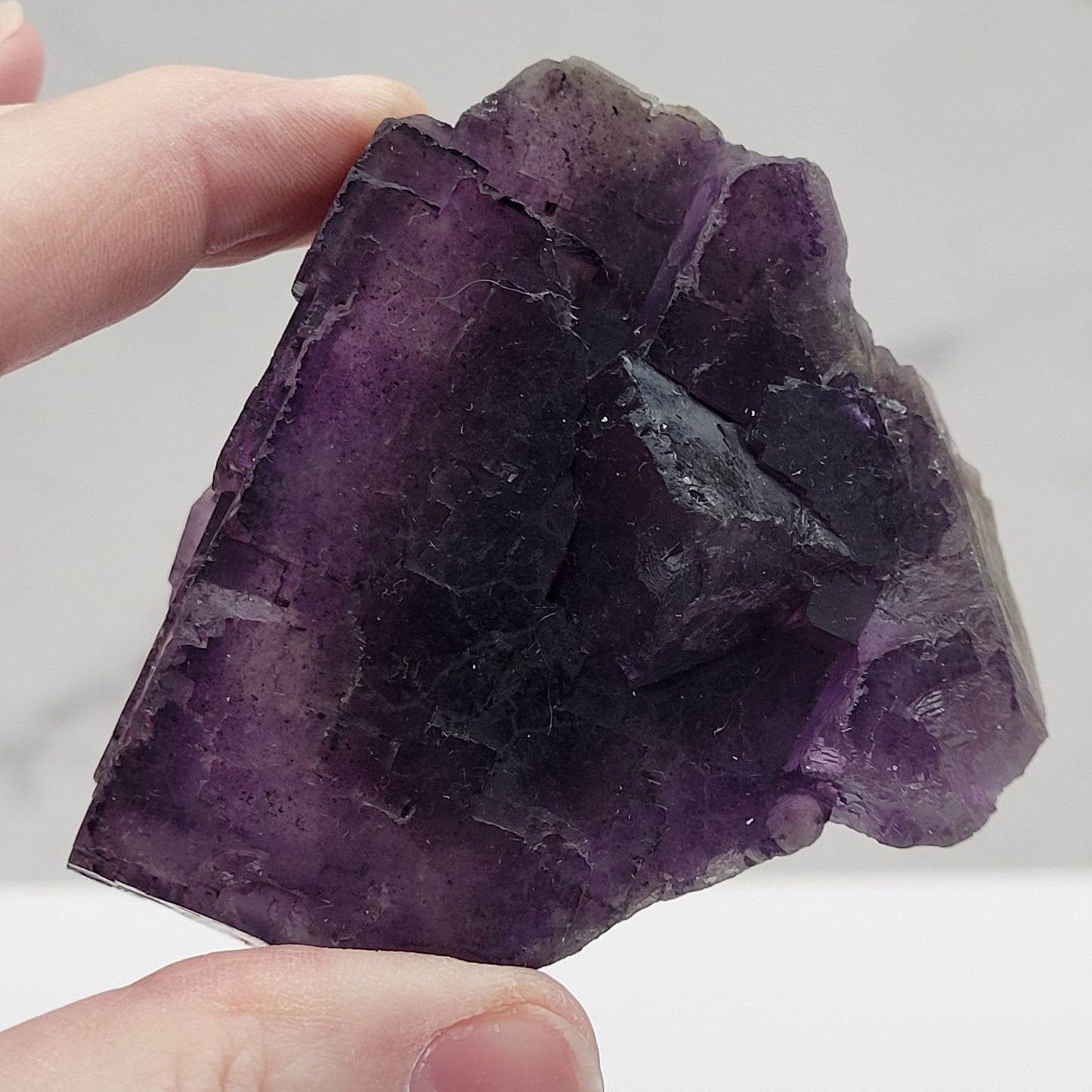 Muzquiz Fluorite
