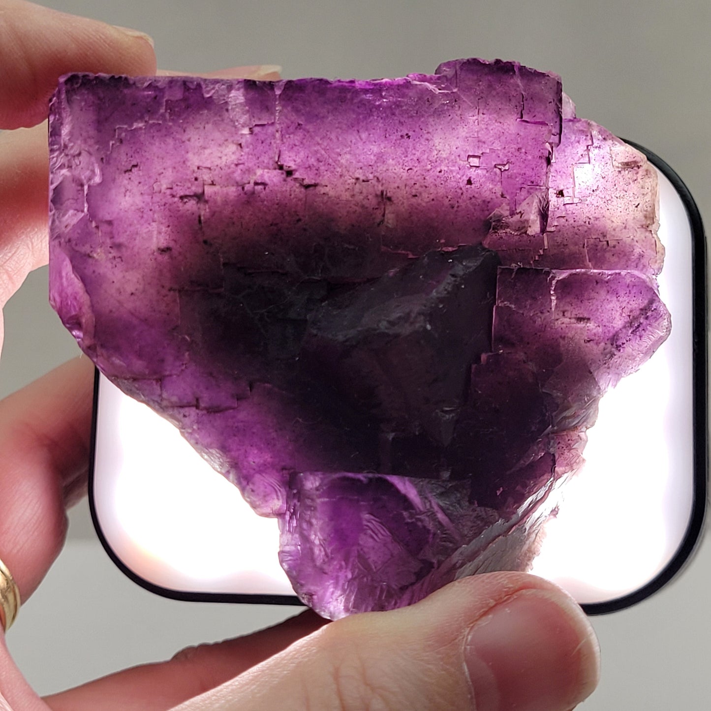 Muzquiz Fluorite