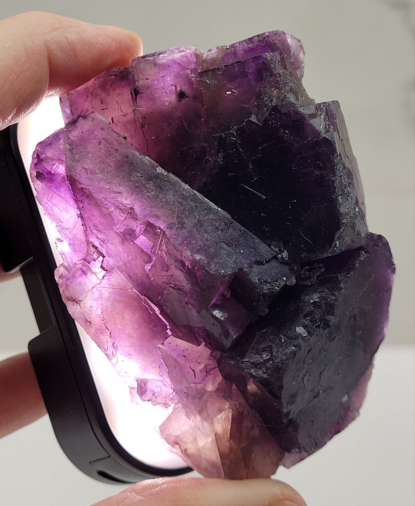 Muzquiz Fluorite