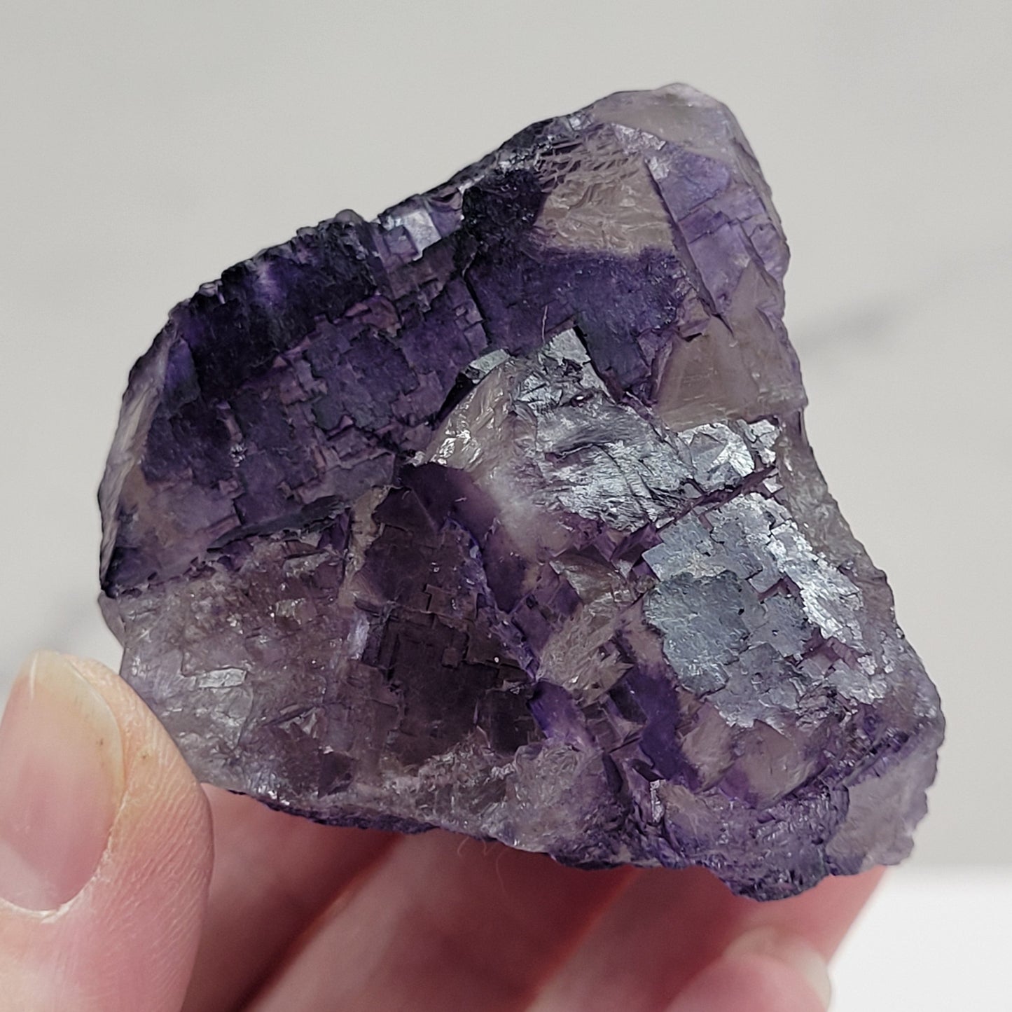 Muzquiz Fluorite