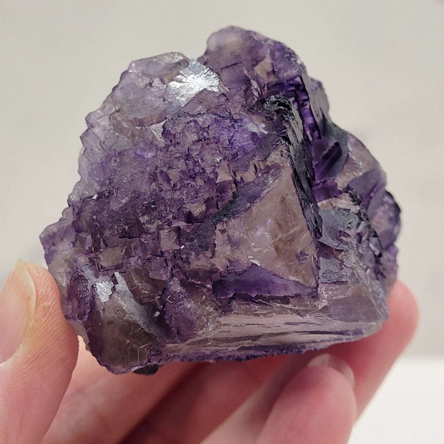 Muzquiz Fluorite
