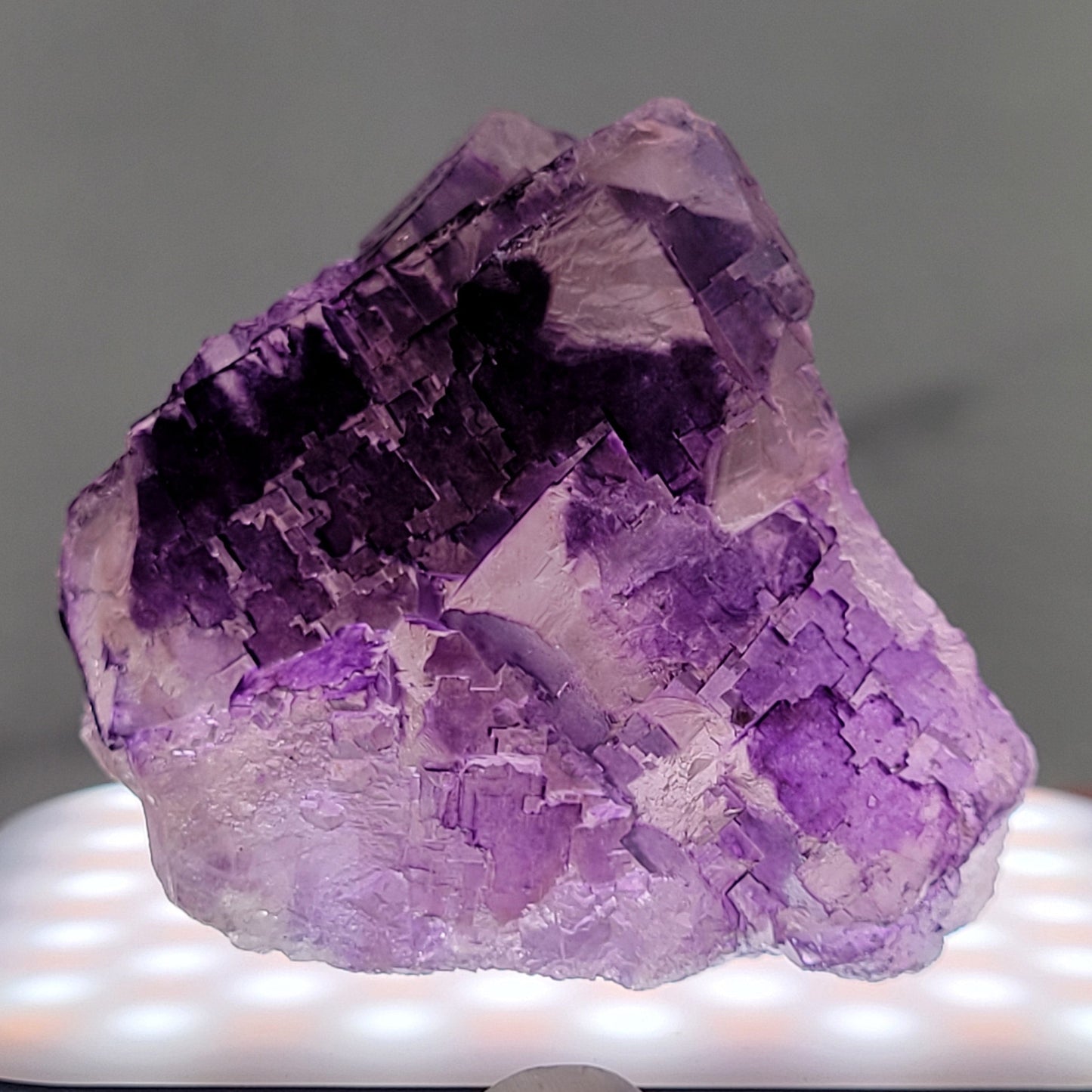 Muzquiz Fluorite