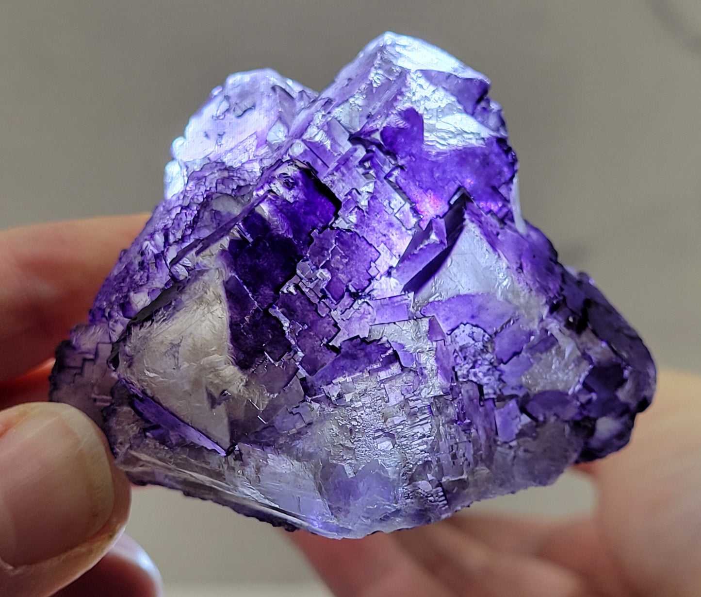 Muzquiz Fluorite