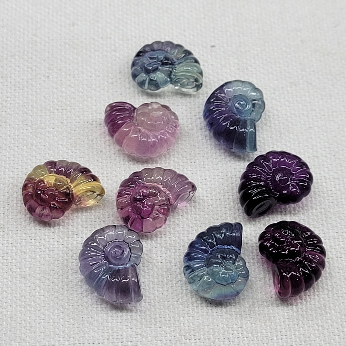 A collection of fluorite stones with a shell-like shape, displaying a range of colors including purple, gray, and blue.