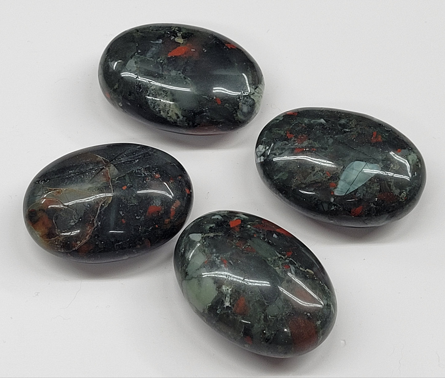 Palm - African Bloodstone