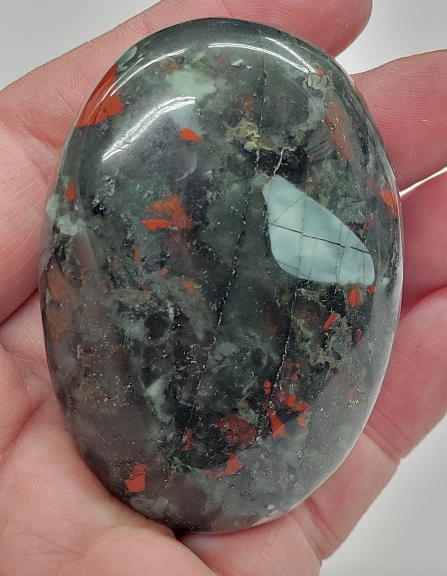 Palm - African Bloodstone
