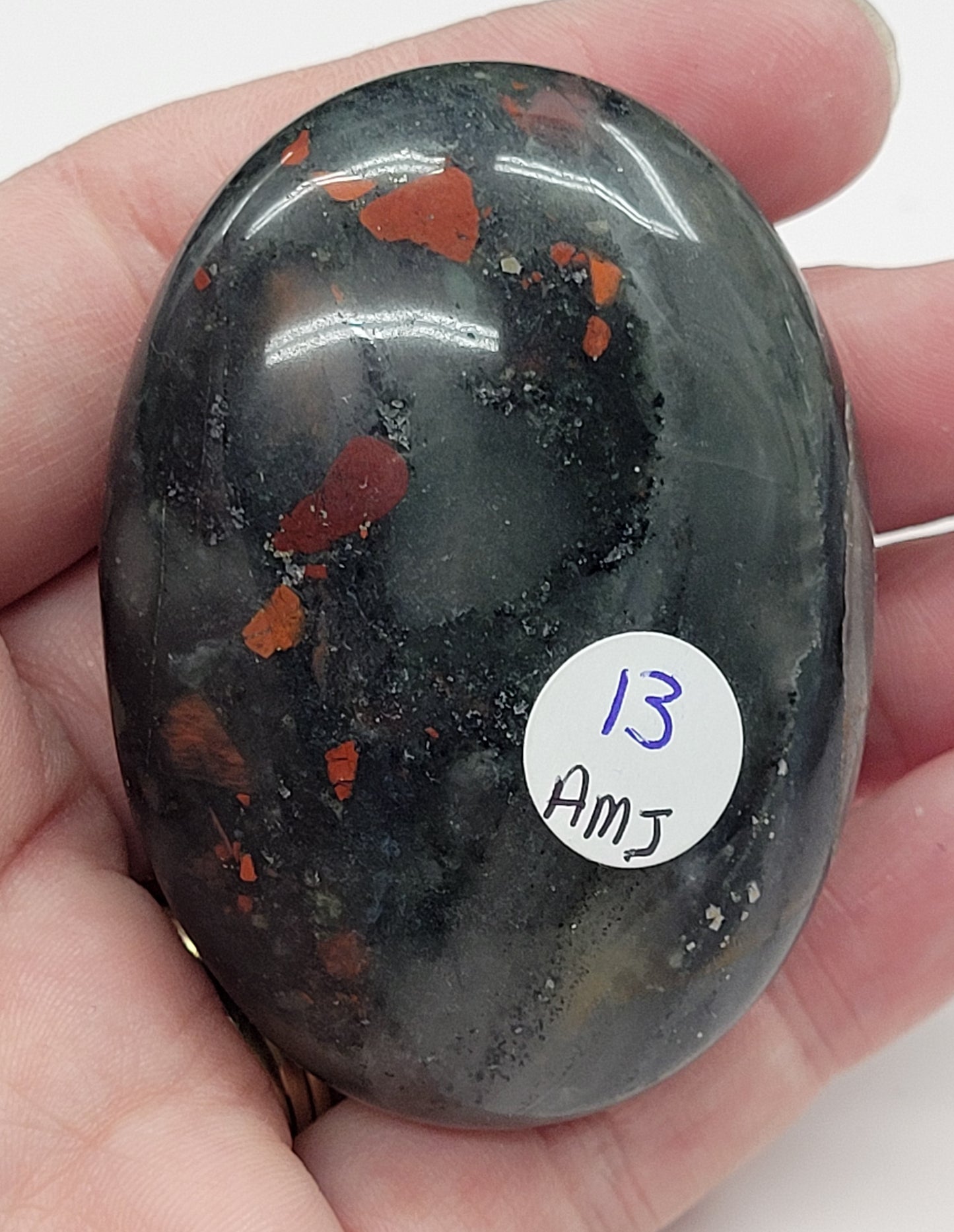 Palm - African Bloodstone