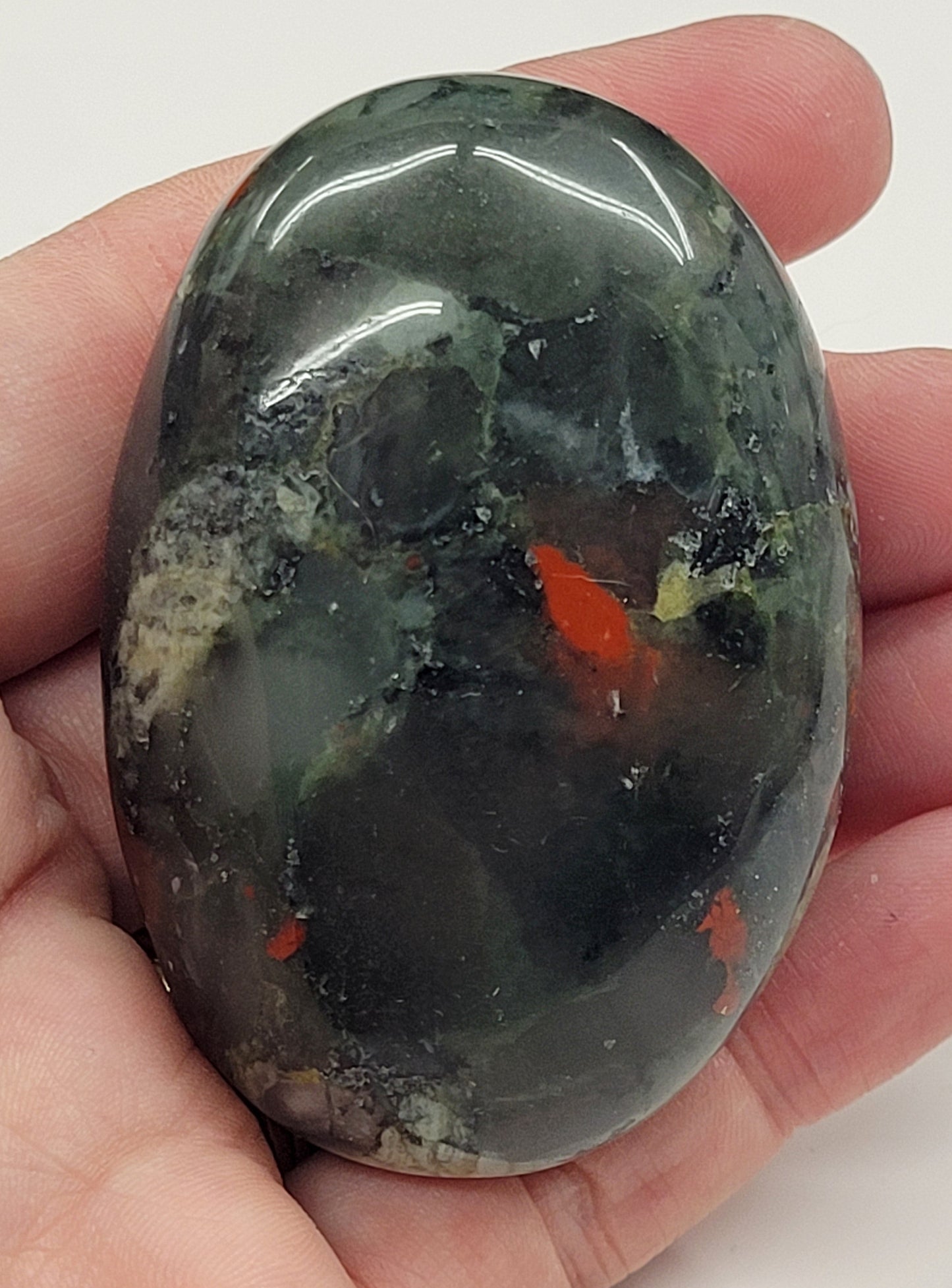 Palm - African Bloodstone
